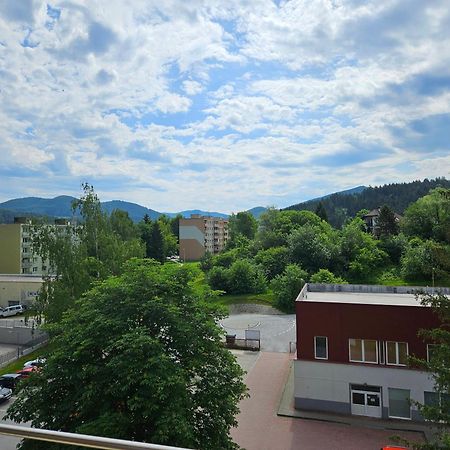 Wolf Apartman Pokojne Ubytovanie V Povazskej Bystrici Ticha Lokalita S Parkovanim Vsade Blizko Vhodne Pre Pracovne Cesty Turistiku Aj Oddych Plne Vybavena Kuchyna Považská Bystrica Buitenkant foto