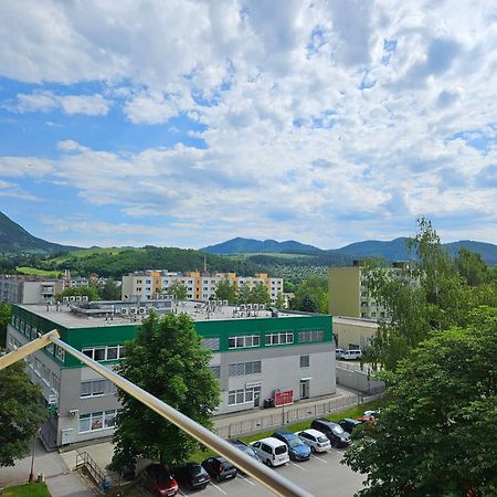 Wolf Apartman Pokojne Ubytovanie V Povazskej Bystrici Ticha Lokalita S Parkovanim Vsade Blizko Vhodne Pre Pracovne Cesty Turistiku Aj Oddych Plne Vybavena Kuchyna Považská Bystrica Buitenkant foto
