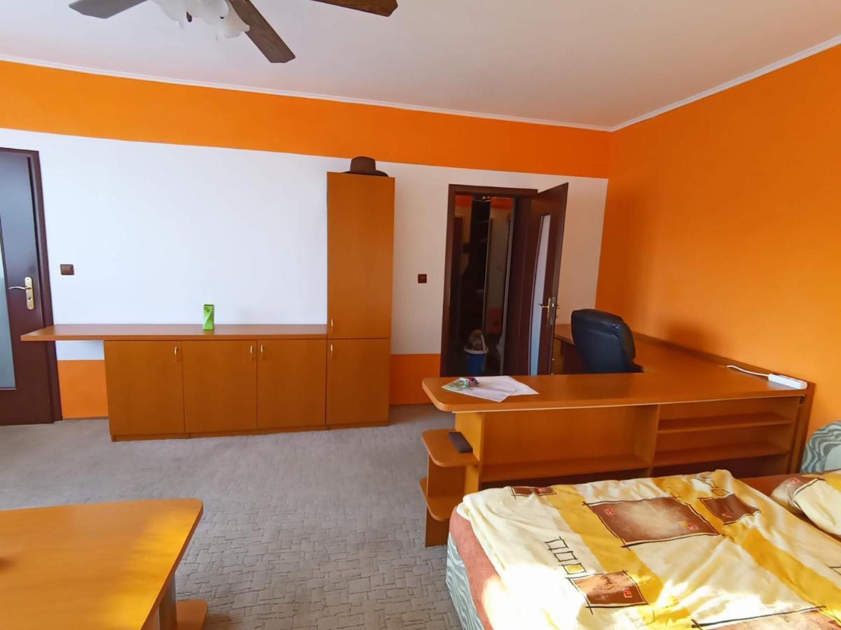 Wolf Apartman Pokojne Ubytovanie V Povazskej Bystrici Ticha Lokalita S Parkovanim Vsade Blizko Vhodne Pre Pracovne Cesty Turistiku Aj Oddych Plne Vybavena Kuchyna Považská Bystrica Buitenkant foto